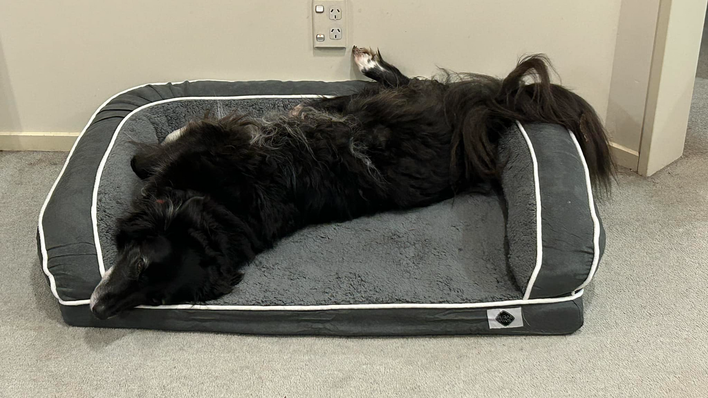Memory Foam Dog Bed - XL