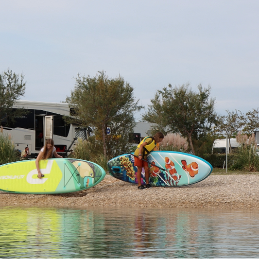 Pathfinder Clownfish (1)