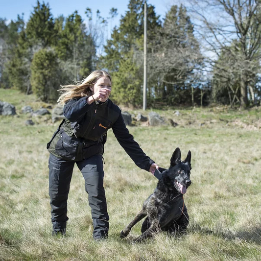 pinewood-3081-dkanth1