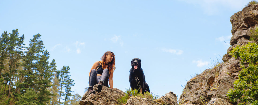 Hiking With Your Dog in NZ