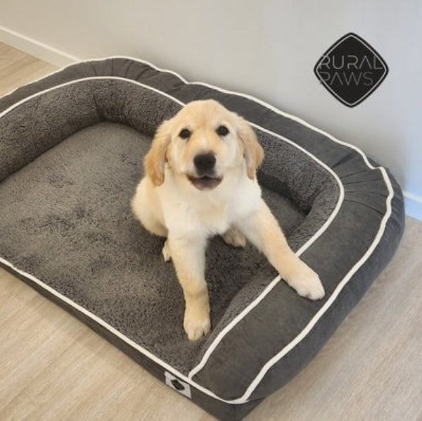 Memory Foam Dog Bed - XL