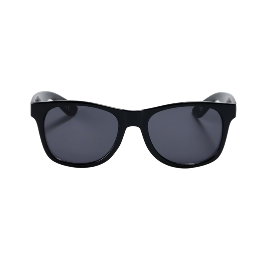 Vans Spicoli 4 Sunglasses Black