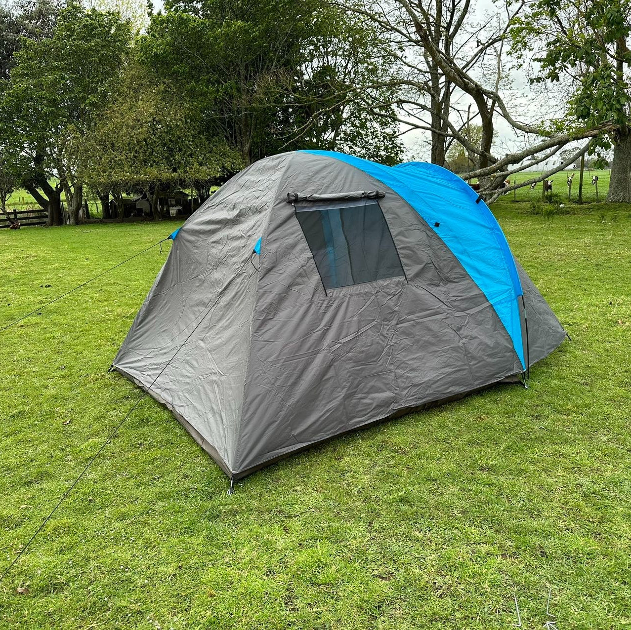 Wanderer 3 person 3 season tent