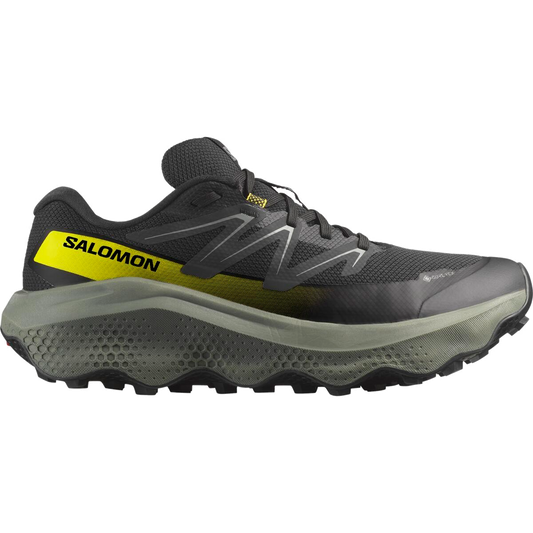 Salomon Men's Ultra Flow 2 Gtx-Black/Sedona Sage/Incaberry